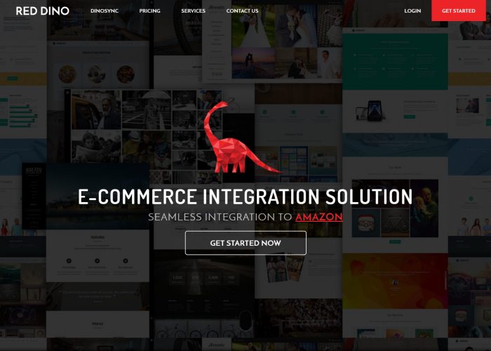 Red Dino Venture | E-Commerce Integration Solution